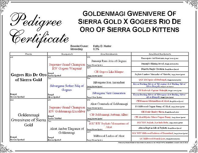 Gwenivere X Rio Kittens 1